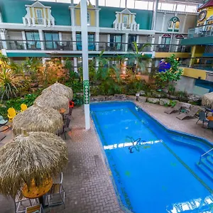 book here